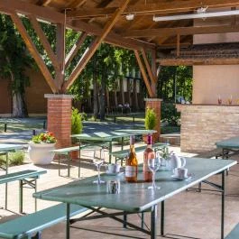 Zichy Park Hotel Bikács - Medence/kert