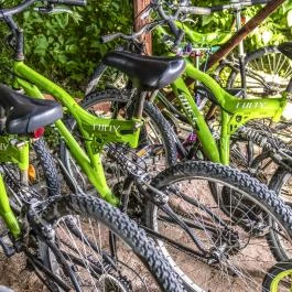 Zichy Park Hotel Bikács - 