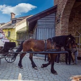 Puchner Kastélyszálló Bikal - Külső kép