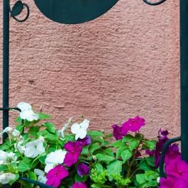 Babaház Bodajk - Egyéb