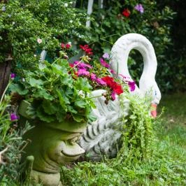 Babaház Bodajk - Egyéb