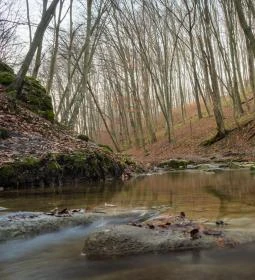 29. legjobb látnivaló: Gaja-szurdok