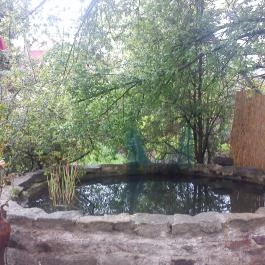 Alabástrom Panzió és Étterem Bogács - Egyéb