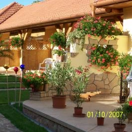 Muskátli Apartman Bogács - Medence/kert