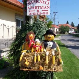 Muskátli Apartman Bogács - Egyéb