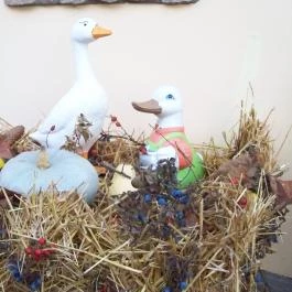 Muskátli Apartman Bogács - Egyéb