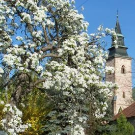 Muskátli Apartman Bogács - Egyéb