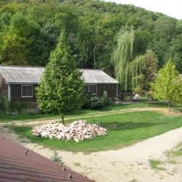 Zöldvár Villa Apartmanok Bogács - Medence/kert