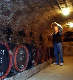 Zöldvár Villa Apartmanok