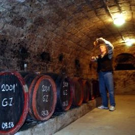 Zöldvár Villa Apartmanok Bogács - Vendéglátás