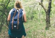 Boldogkőváralja - Kéktúra útvonal Gibárttól – Boldogkőváraljáig