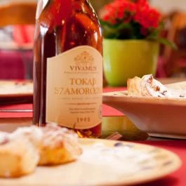 Somogy Kertje Üdülőfalu és Étterem Bonnya - Vendéglátás