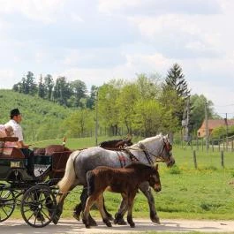 Bőszénfai Szarvasfarm Bőszénfa - Egyéb