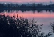 Budakalász - Omszki-tó