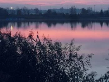 Omszki-tó Budakalász