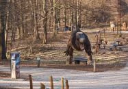 Budakeszi - Budakeszi Dinó Park