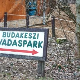 Budakeszi Vadaspark Budakeszi - Egyéb