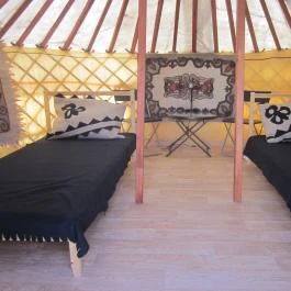 Csiki Pihenőkert Budaörs - Egyéb