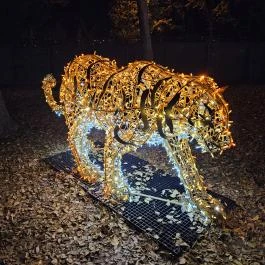 Lumina Park Budapest - Egyéb