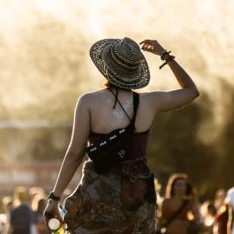 Sziget Fesztivál Budapest - Egyéb