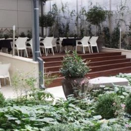 Araz Étterem Budapest - Egyéb