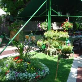 Bajai Halászcsárda Budapest Budapest - Egyéb