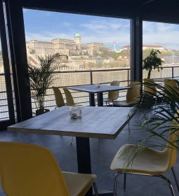 BOATanic Terrace & Bar