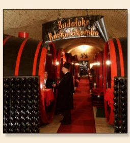 Borkatakomba Étterem