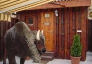 Buffalo Steak House Budapest