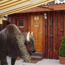 Buffalo Steak House Budapest - Egyéb