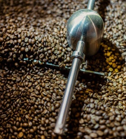 Coop Roastery & Specialty Coffee