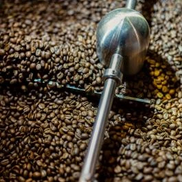 Coop Roastery & Specialty Coffee Budapest - Egyéb