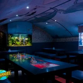 Dzsungel Kávézó & Étterem Budapest - Egyéb