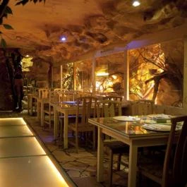 Dzsungel Kávézó & Étterem Budapest - Egyéb