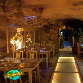 Dzsungel Kávézó & Étterem Budapest - Egyéb