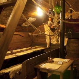 Dzsungel Kávézó & Étterem Budapest - Egyéb