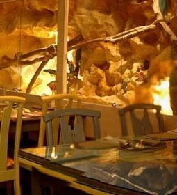 Dzsungel Kávézó & Étterem