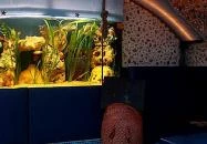 Dzsungel Kávézó & Étterem Budapest