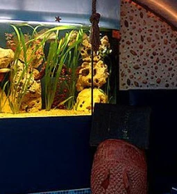 Dzsungel Kávézó & Étterem