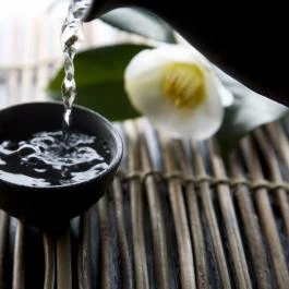 Fuji Japán Étterem Budapest - Egyéb