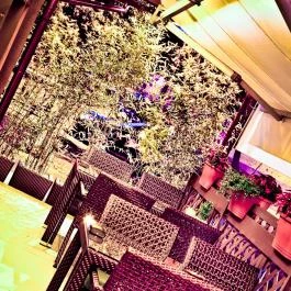 Fuji Japán Étterem Budapest - Egyéb