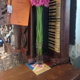 Gyöngy Presszó Budapest - Egyéb