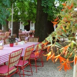 Náncsi Néni Vendéglője Budapest - Egyéb