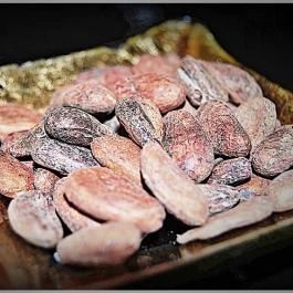 Noir Chocobar Budapest - Egyéb