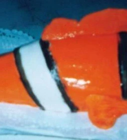 Piazza di Francesco Kávéház-Cukrászda