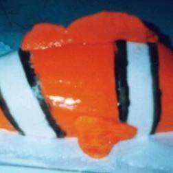 Piazza di Francesco Kávéház-Cukrászda Budapest - Egyéb