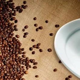 Piccolo Café Budapest - Egyéb