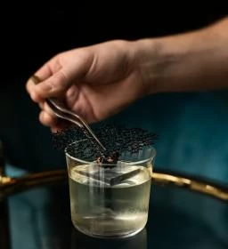 Sfinx Gin & Wine Bar