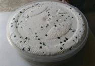 Sörmisszió Budapest