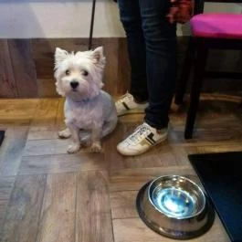 Steezy Café Budapest - Egyéb